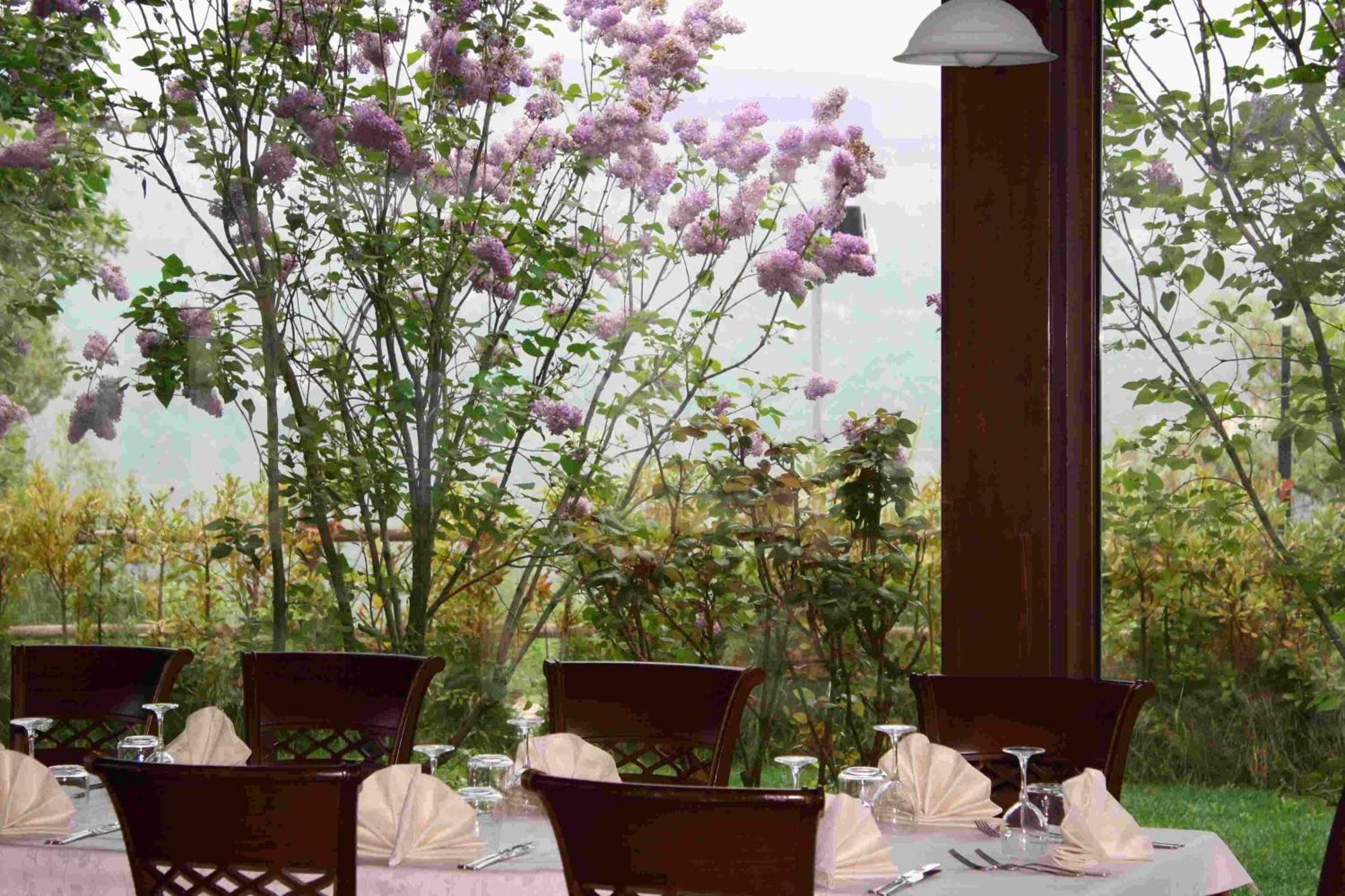 Locanda Del Barone 카라마니코 테르메 외부 사진